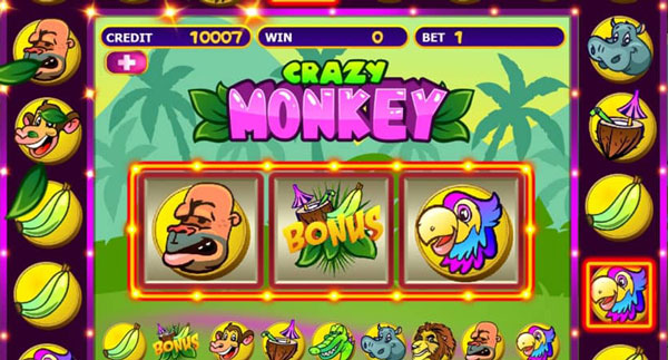 Crazy Monkey Slot Adventure